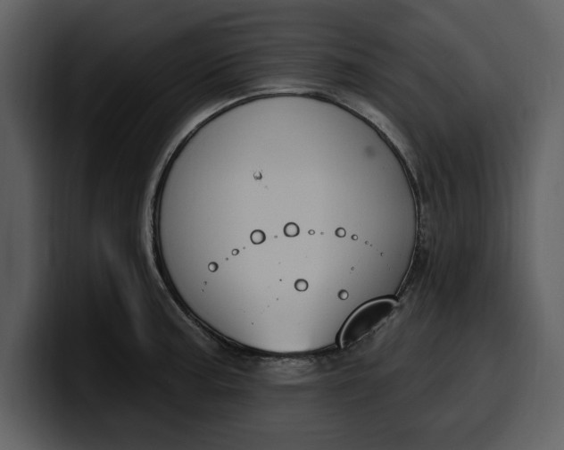 X0000100321187200806190956