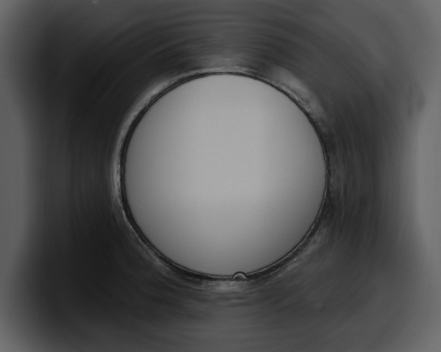 X0000100321188200806190956