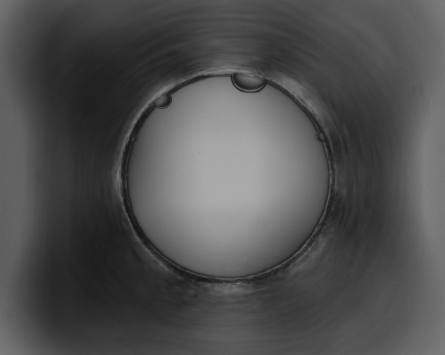 X0000100321189200806190956