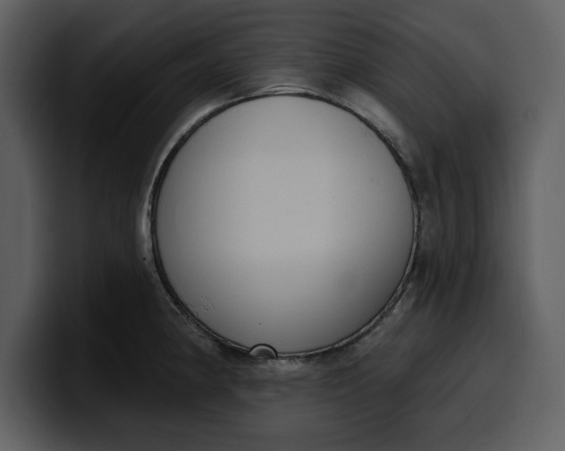 X0000100321190200806190956