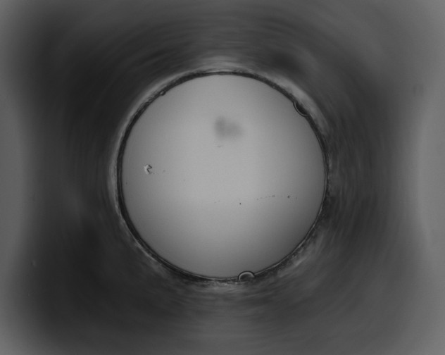 X0000100321191200806190956