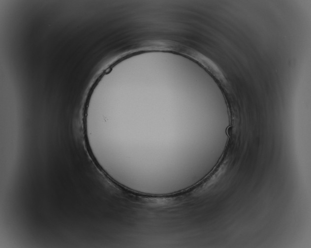 X0000100321192200806190956