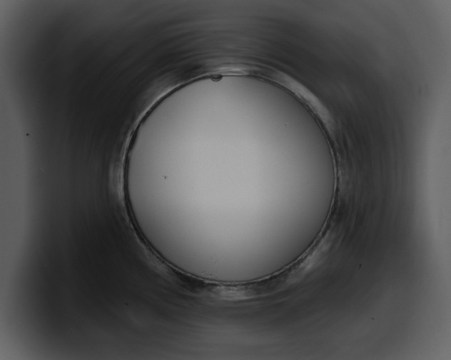 X0000100321194200806190956