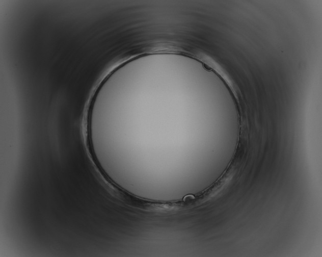 X0000100321195200806190956