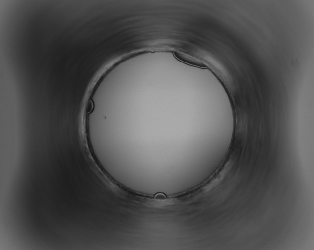 X0000100321196200806190956