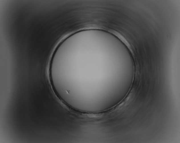 X0000100321197200806190956