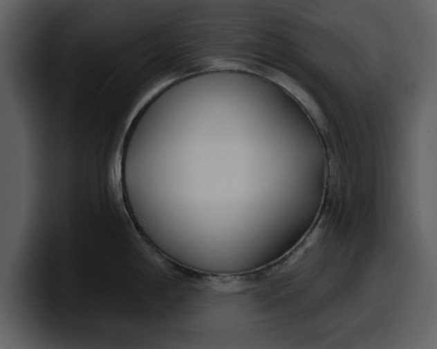 X0000100321198200806190956