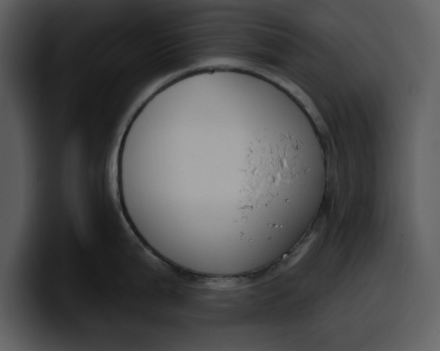 X0000100321199200806190956