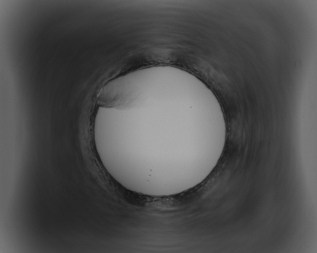 X0000100321201200806190956