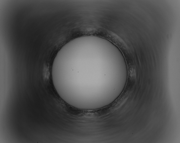 X0000100321204200806190956