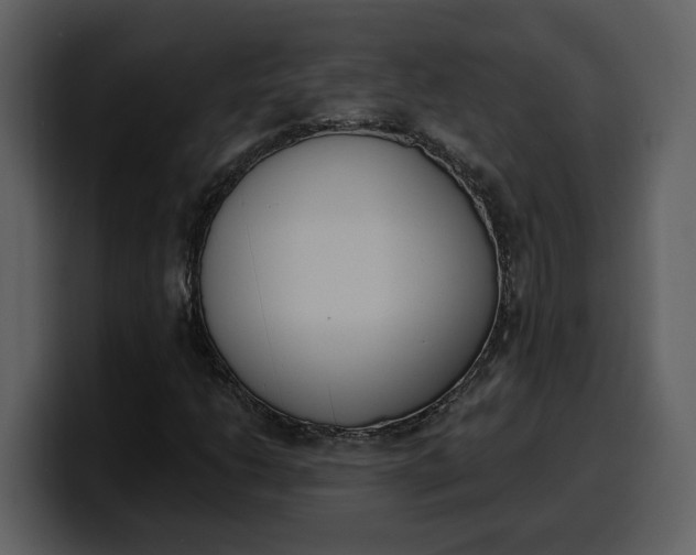 X0000100321206200806190956