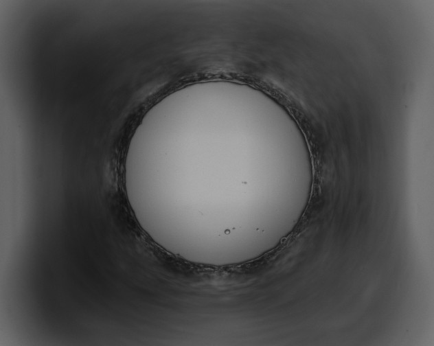 X0000100321207200806190956