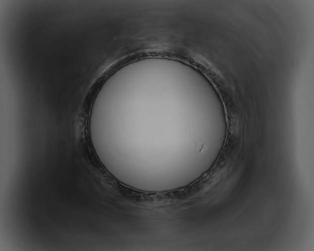 X0000100321208200806190956