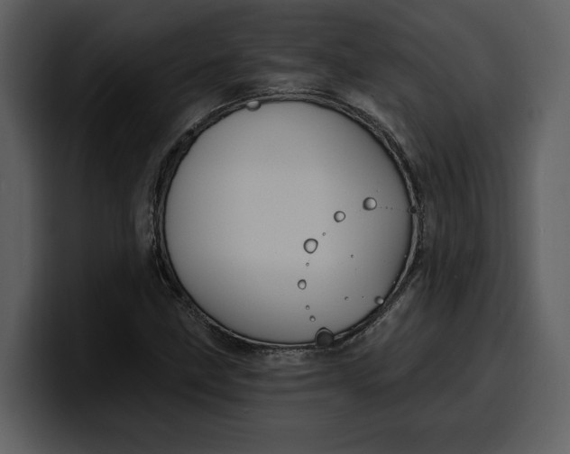 X0000100321211200806190956