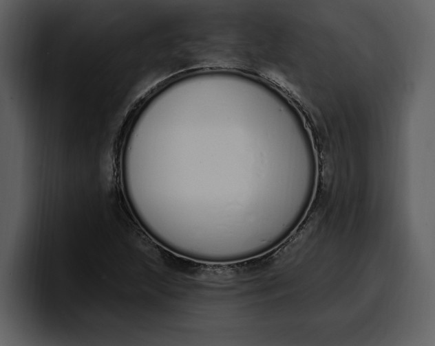 X0000100321215200806190956