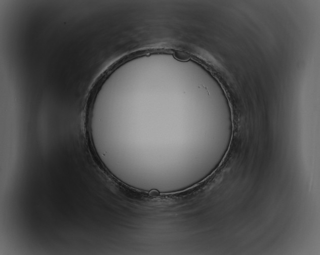 X0000100321216200806190956