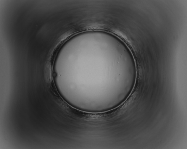 X0000100321219200806190956