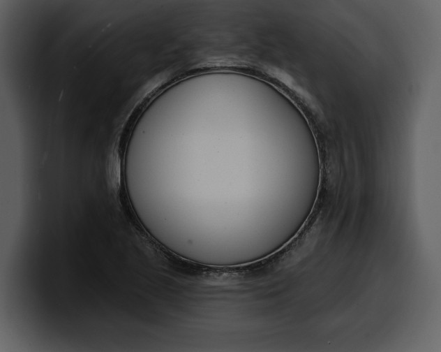 X0000100321221200806190956