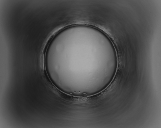 X0000100321223200806190956