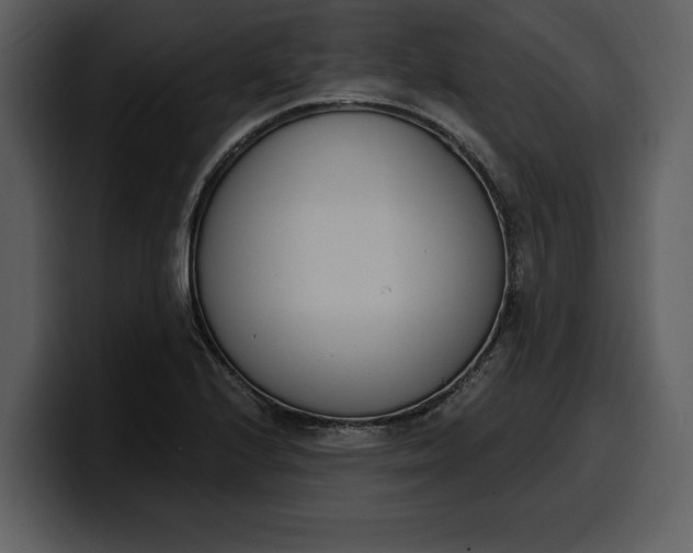 X0000100321224200806190956