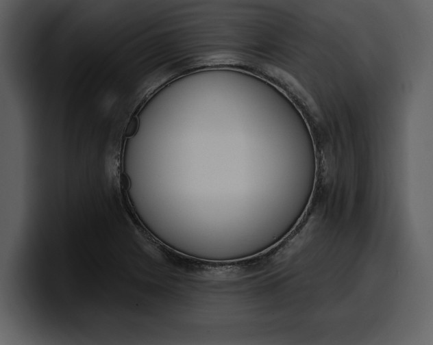 X0000100321225200806190956