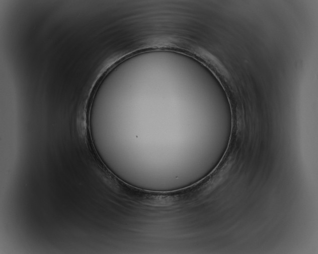 X0000100321226200806190956