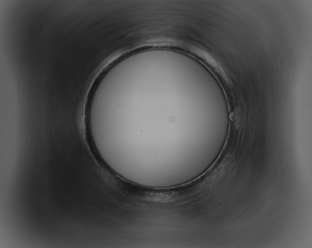 X0000100321229200806190956