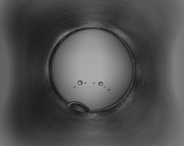 X0000100321230200806190956