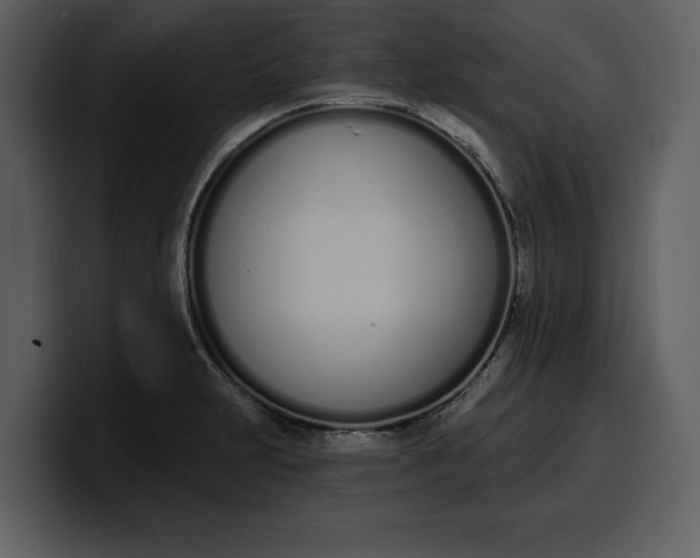 X0000100321231200806190956