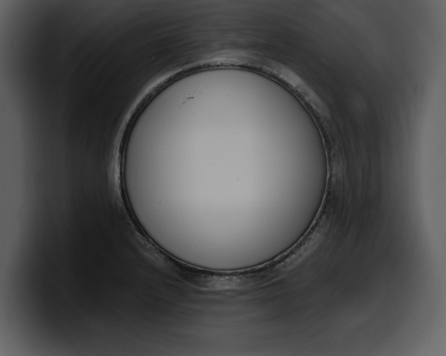 X0000100321232200806190956