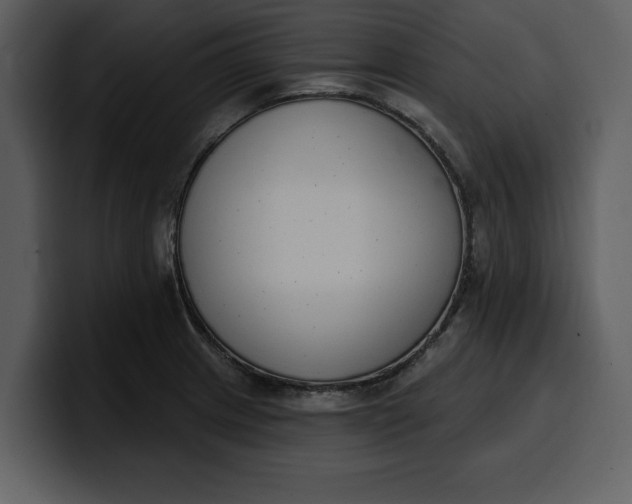 X0000100321233200806190956