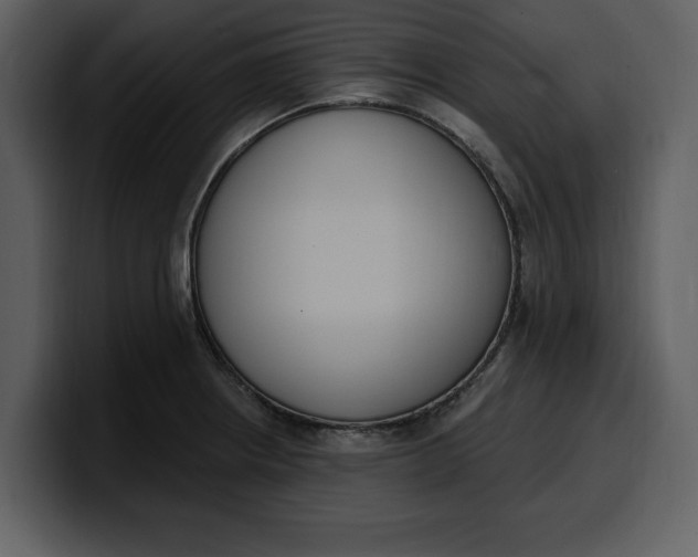 X0000100321234200806190956