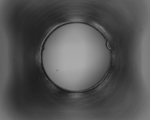 X0000100321236200806190956