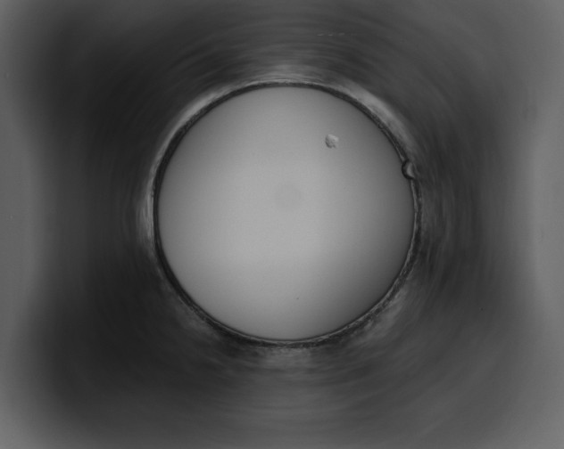 X0000100321238200806190956