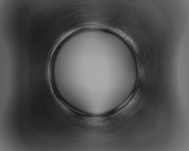 X0000100321239200806190956