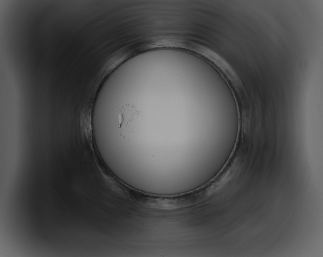 X0000100321241200806190956