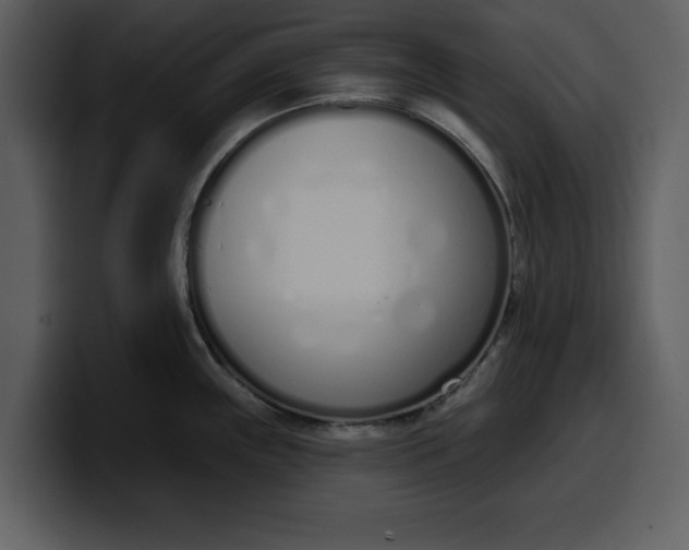 X0000100321243200806190956