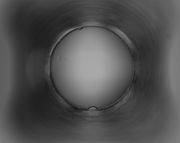 X0000100321244200806190956