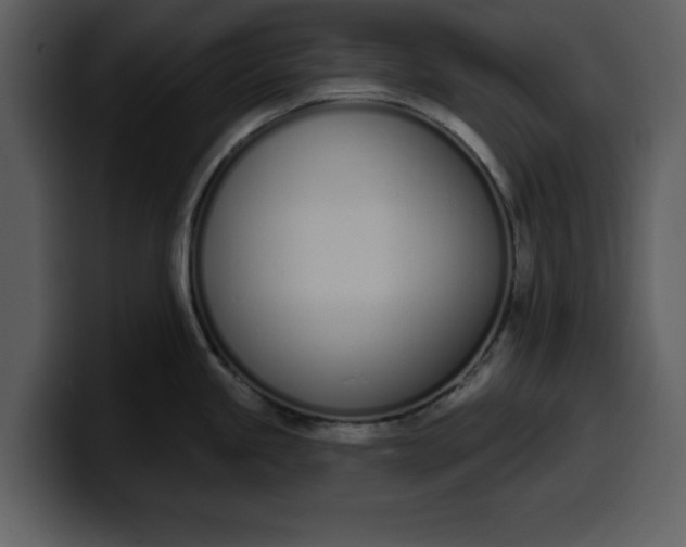 X0000100321245200806190956