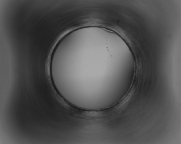 X0000100321246200806190956