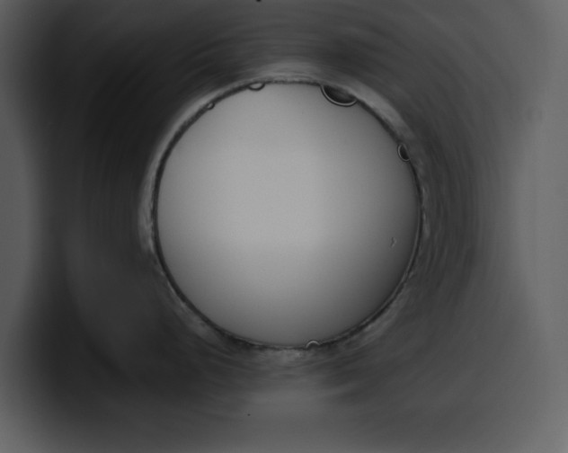 X0000100321248200806190956