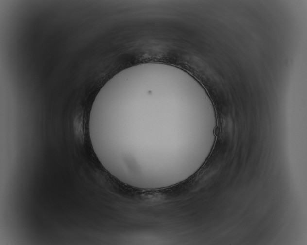 X0000100321250200806190956