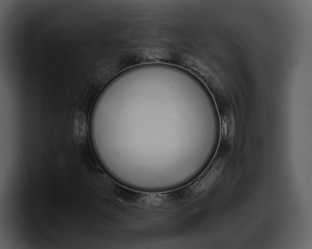 X0000100321251200806190956