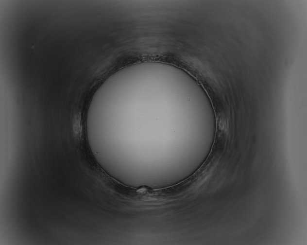 X0000100321252200806190956