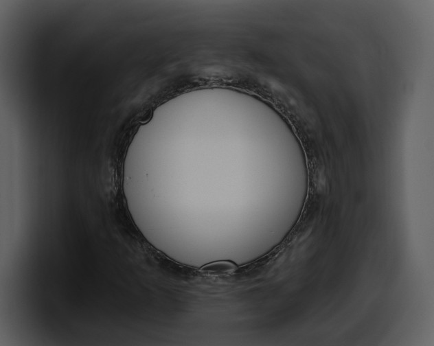 X0000100321253200806190956