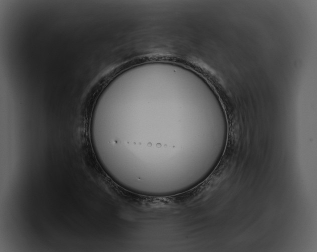 X0000100321255200806190956