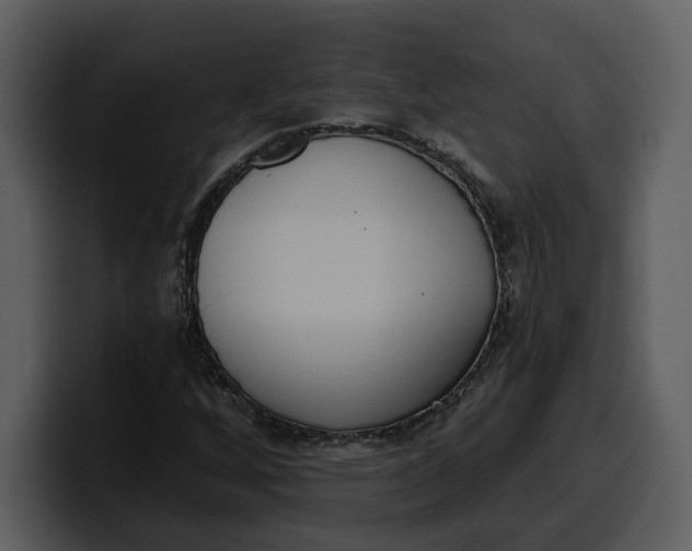 X0000100321256200806190956