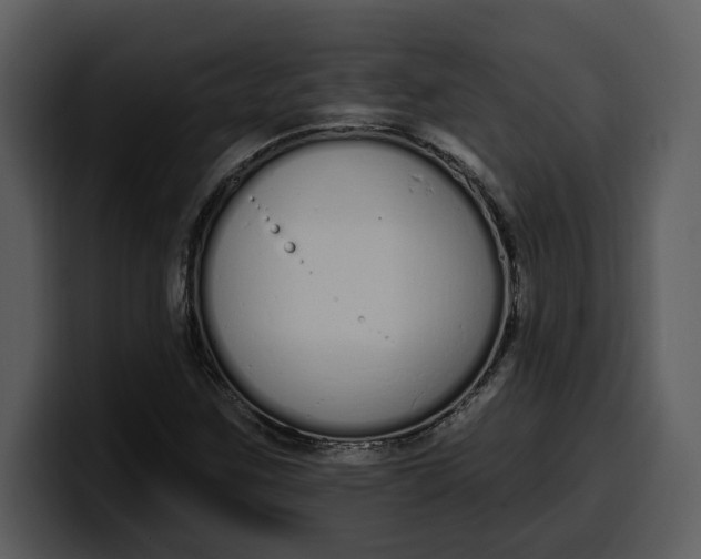 X0000100321259200806190956