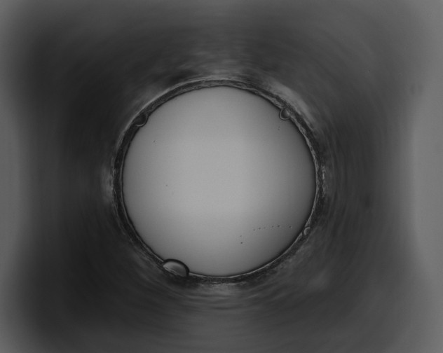 X0000100321260200806190956