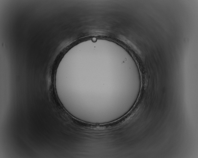 X0000100321261200806190956